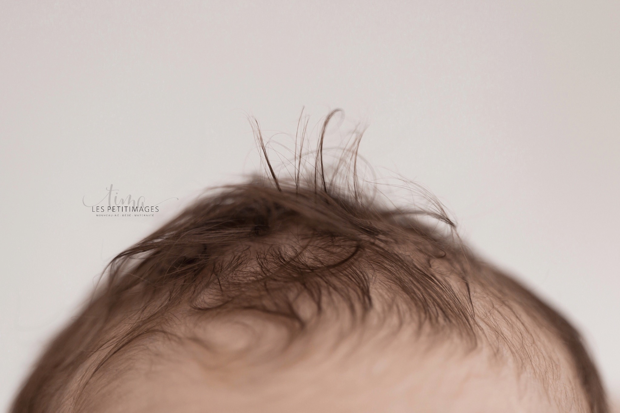 photographe-naissance-orleans-olivet